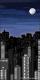 BackDrops: NY Skyline  9