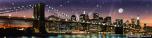 BackDrops: NY Skyline 10