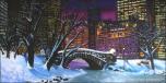 BackDrops: Central Park 2A Winter