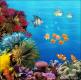Backdrops: Coral Reef A