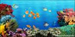 Backdrops: Coral Reef 6