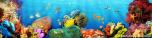 Backdrops: Coral Reef 5
