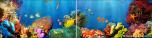 Backdrops: Coral Reef 6 Panel