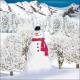 BackDrops: Snowman 2