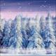 BackDrops: Winter Forest 4