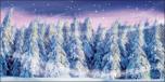 Backdrops: Winter Forest 3