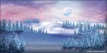 BackDrops: Winter Trees 4B