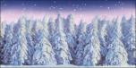 BackDrops: Winter Forest 1D