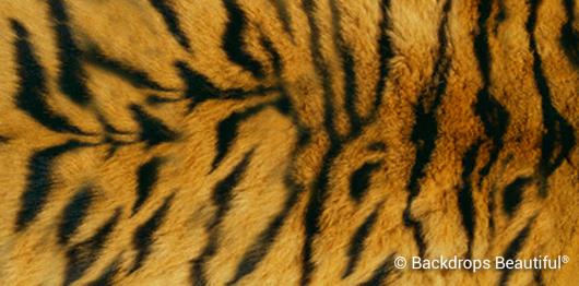 Backdrops: Skin Tiger 3