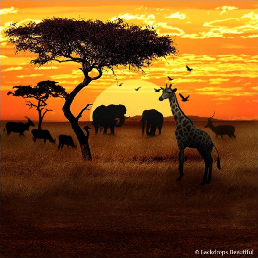 Backdrops: African Savannah 1