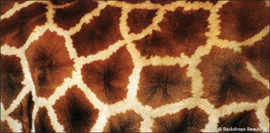 Backdrops: Skin Giraffe 2