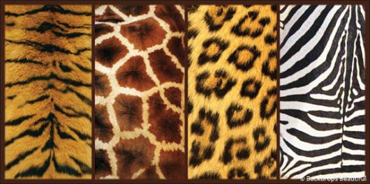 Backdrops: Skin Animal Panel