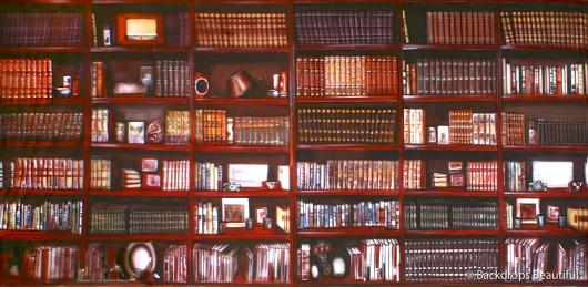 Backdrops: Bookshelves 8 (Alt View)