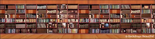 Backdrops: Bookshelves 4