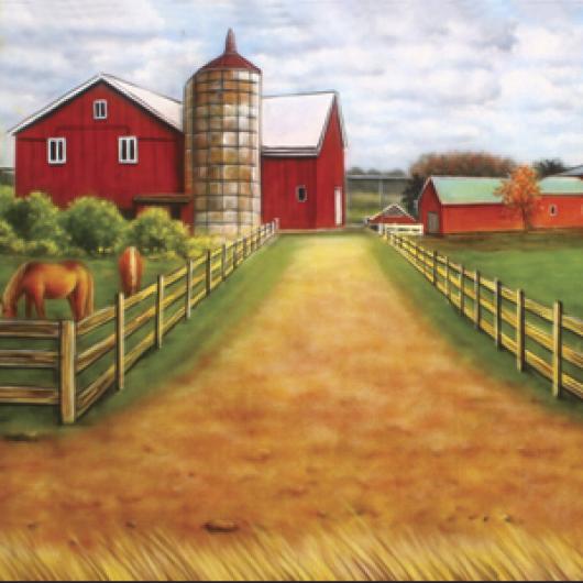 Backdrops: Farm House 3