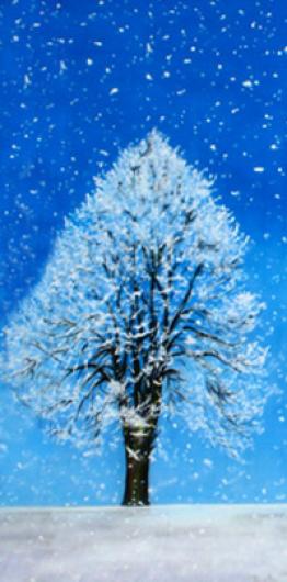 Backdrops: Tree 1D Winter