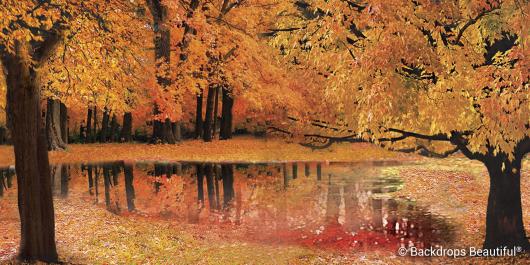 Backdrops: Autumn Landscape 1