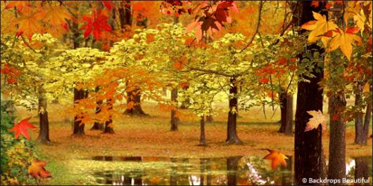 Backdrops: Woodlands 8 Fall