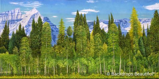 Backdrops: Aspen Mountains  8A