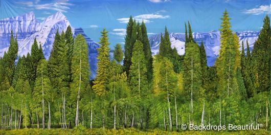 Backdrops: Aspen Mountains  8B