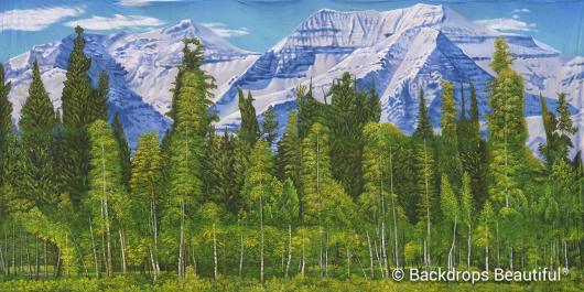 Backdrops: Aspen Mountains  9A