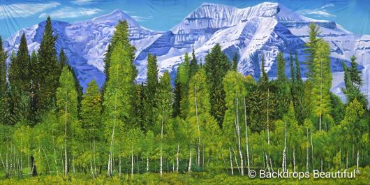 Backdrops: Aspen Mountains  9B