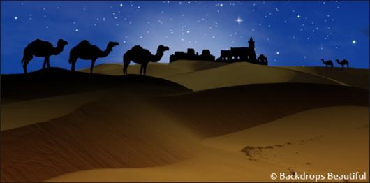 Backdrops: Camel Silhouette 3