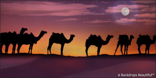 Backdrops: Camel Silhouette 1