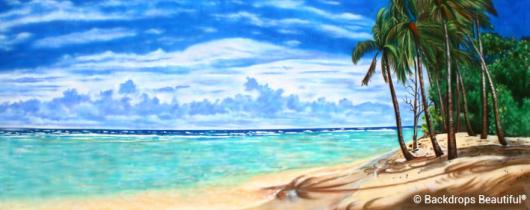 Backdrops: Tropical Beach  8