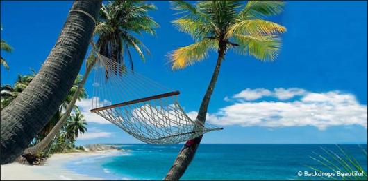 Backdrops: Beach Hammock 1B