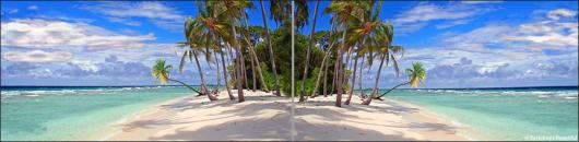 Backdrops: Tropical Beach Panel 2