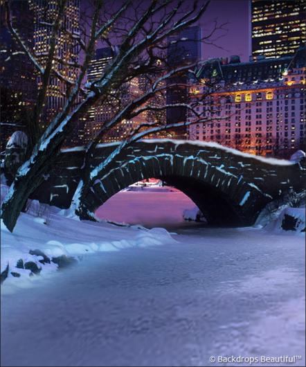 Backdrops: Central Park 5B Winter