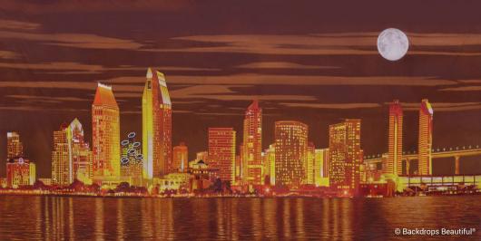 Backdrops: San Diego by Night 1
