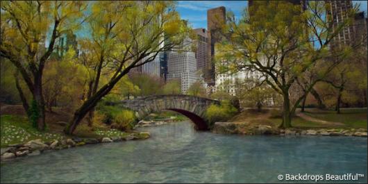 Backdrops: Central Park 6 Bridge