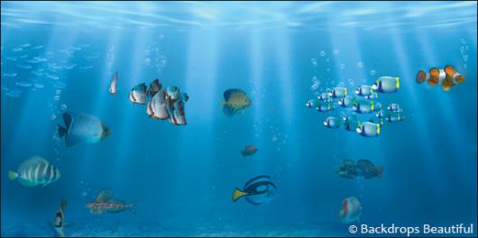 Backdrops: Ocean Fish