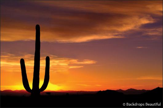 Backdrops: Desert Sunset 2