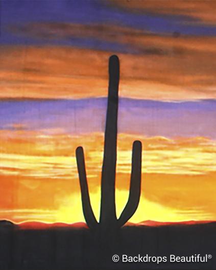 Backdrops: Desert Sunset 5