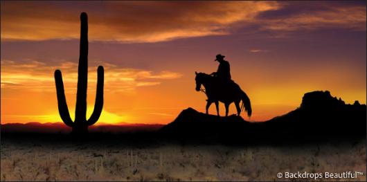 Backdrops: Cowboy Sunset 2 Cactus