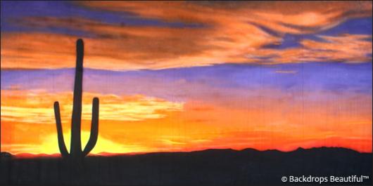 Backdrops: Desert Sunset 1