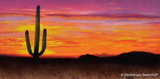 Backdrops: Desert Sunset 1B Cactus