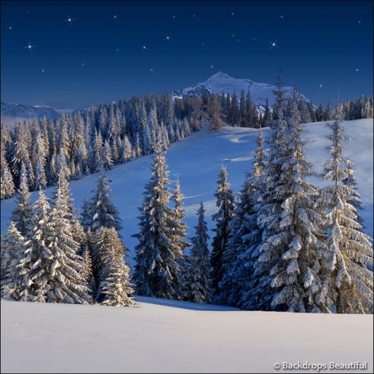 Backdrops: Winter Wonderland 6E (Vinyl)