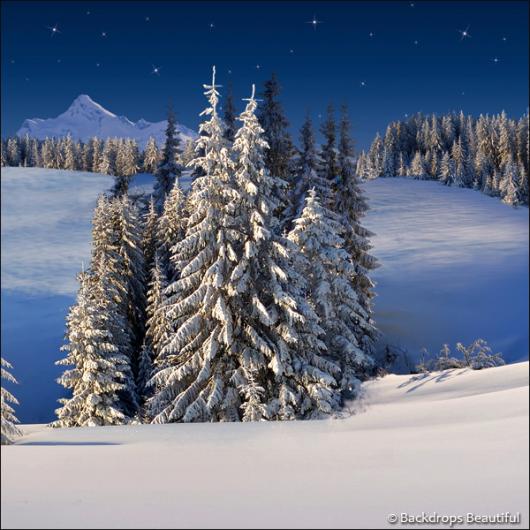 Backdrops: Winter Wonderland 6F (Vinyl)