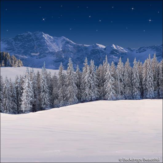 Backdrops: Winter Wonderland 6H (Vinyl)