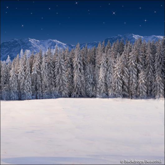 Backdrops: Winter Wonderland 6I (Vinyl)