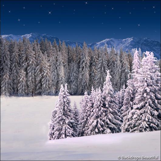 Backdrops: Winter Wonderland 6J (Vinyl)