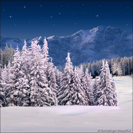 Backdrops: Winter Wonderland 6K (Vinyl)