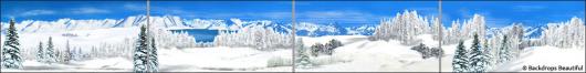 Backdrops: Winter Landscape 1 Panel