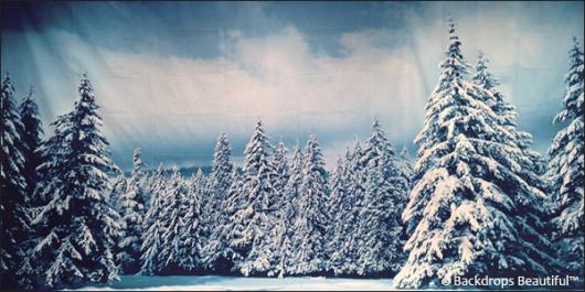 Backdrops: Winter Trees 1 Digital
