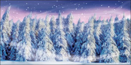 Backdrops: Winter Forest 3