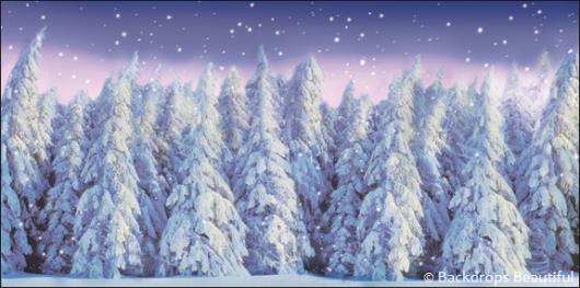 Backdrops: Winter Forest 9A